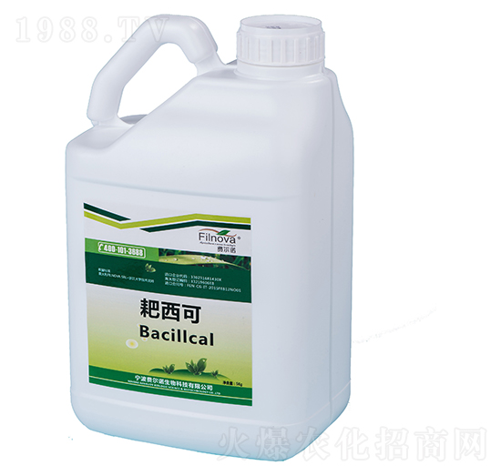 ����΢�������Ƅ�-������-�M(f��i)���Z