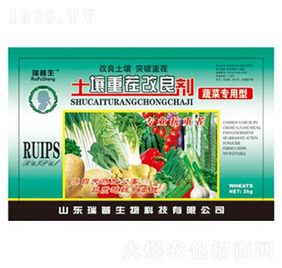 �߲ˌ����������ز������-��������