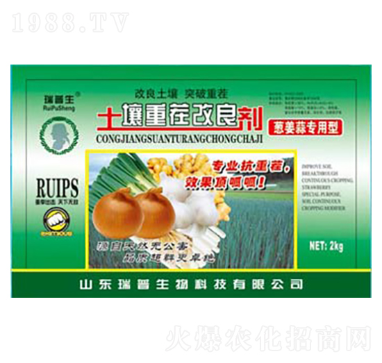 �[���⌣���������ز������-��������