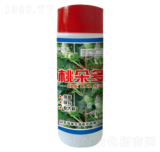 �Ҷ��-��������