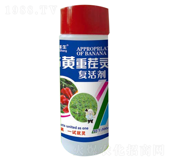 ���S�ز��`�ͻ-��������