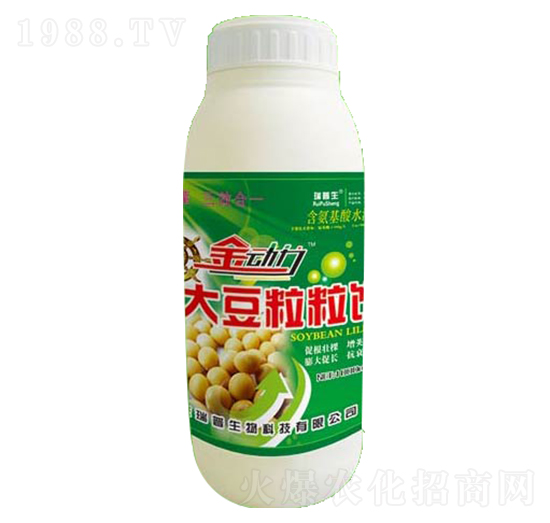 ����(d��ng)���������-��������