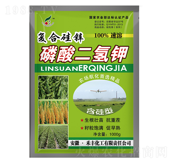 �ͺϹ��\��������-���S