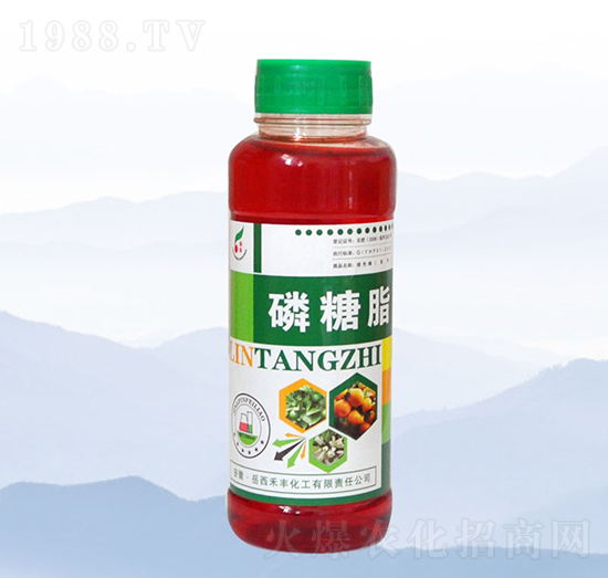 ����֬-���S