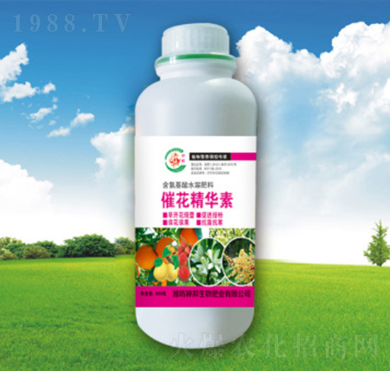 �߻�������-�������