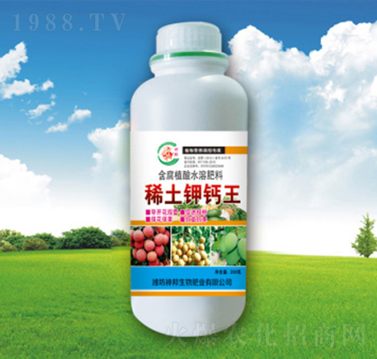 ϡ����}��-�������