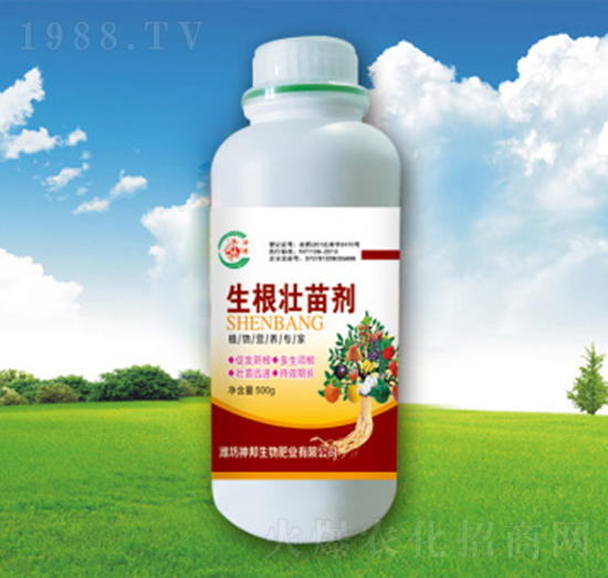 �������焩-�������