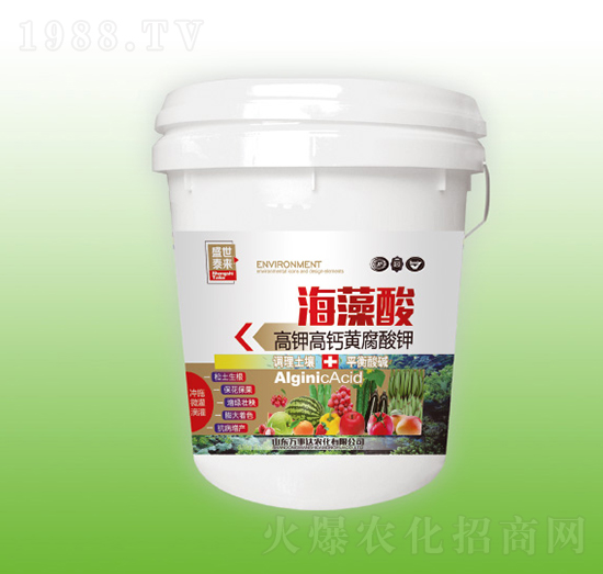 ������-ʢ��̩��-�f���_(d��)