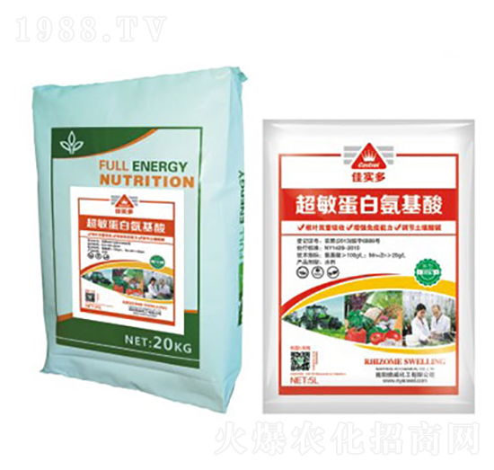 �ь�(sh��)�೬�����װ�����-����