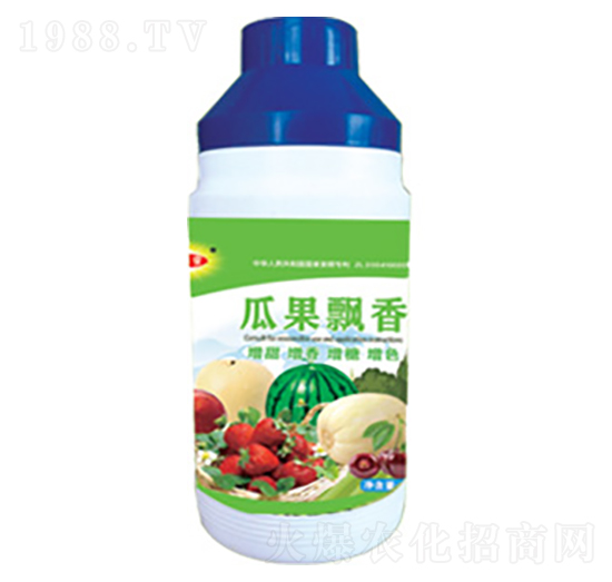 �Ϲ��h��-������