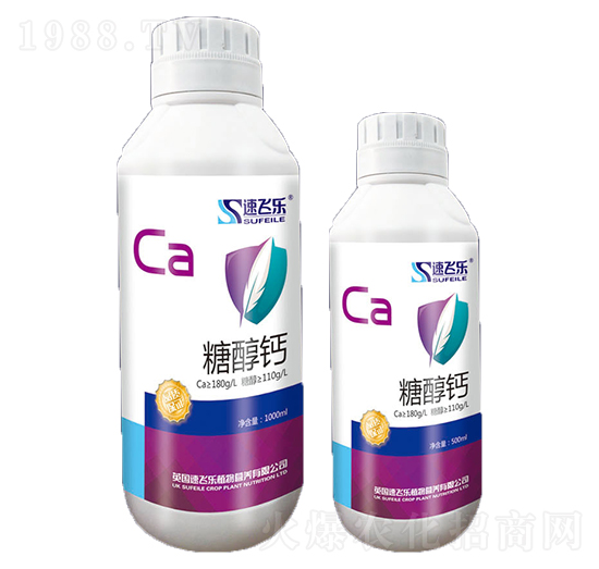 �Ǵ��}-���w��-���A����