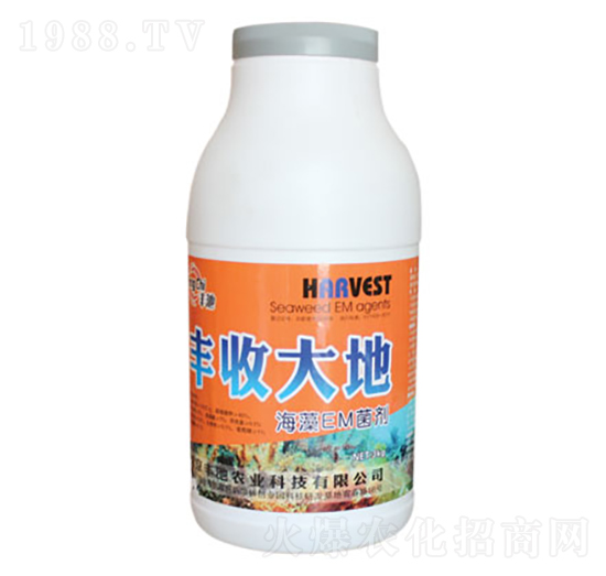 ����EM����-�S�մ��-�S���r�I(y��)