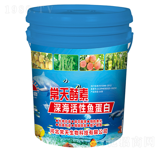 ��������~����-�������-��������