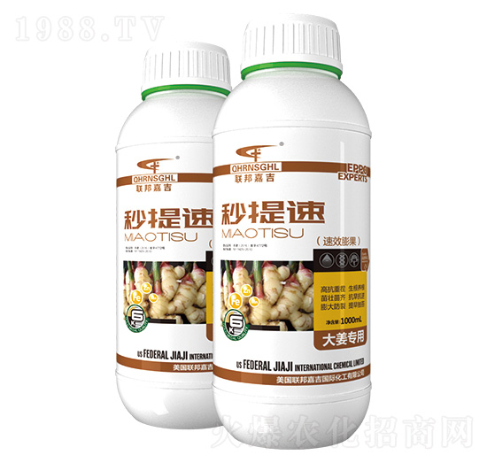 �󽪌�����Ч�����-������-(li��n)��μ�