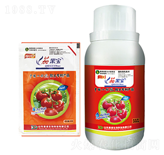 �ѹ���-�¸�����