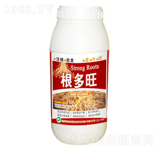 �������~���-���՘�(l��)-��(r��n)�ɷʘI(y��)