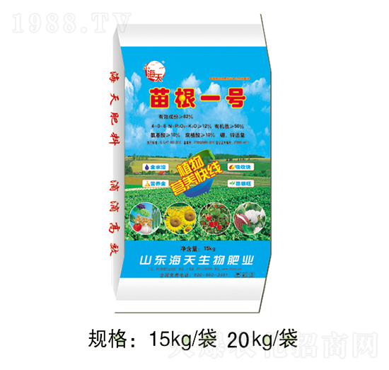 ���һ̖-��������