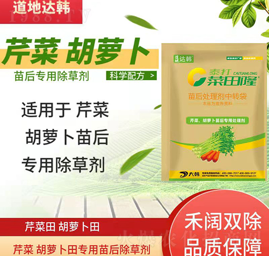 �۲˺��}�����݄�-�۲˺��}�����-�۲˺��}������-���n