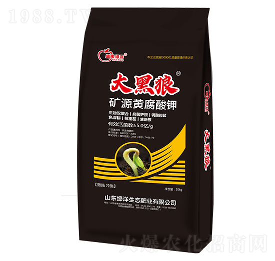 �VԴ�S�����-�����-�G��