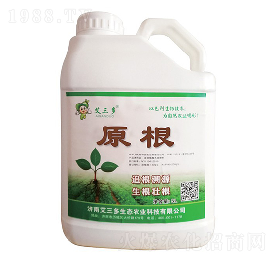 ԭ��-������