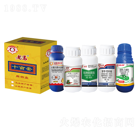 ����һ����Ч�ײͣ�ʮ���ף�-�����r(n��ng)�I(y��)