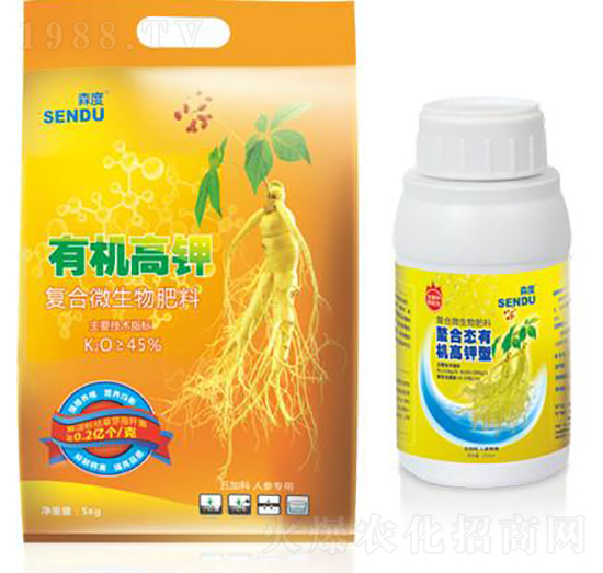 �ЙC(j��)��⛷�-ɭ��