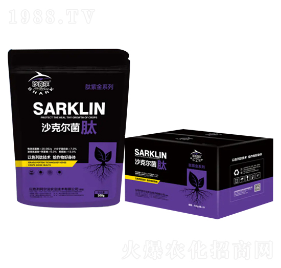 ɳ�ˠ�����-�������r(n��ng)�I(y��)