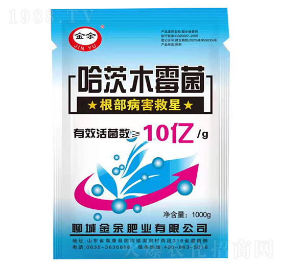 ����ľù��-����