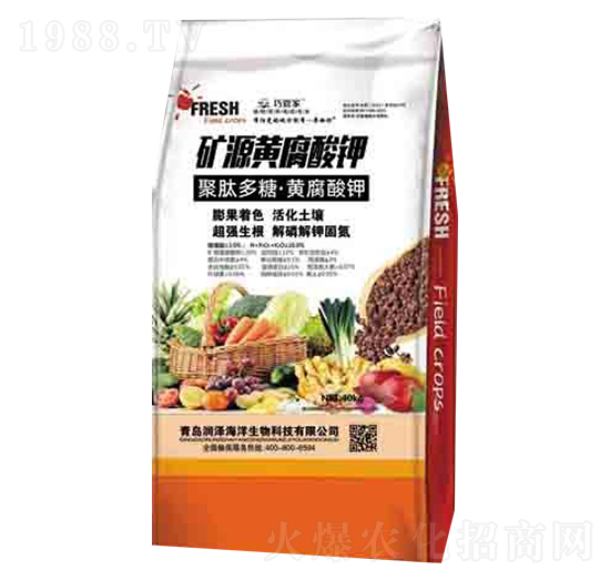 40kg�VԴ�S����� �ɹܼ� ����