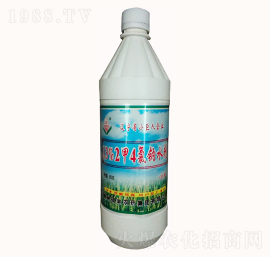 13%���������c-�T�S�rˎ