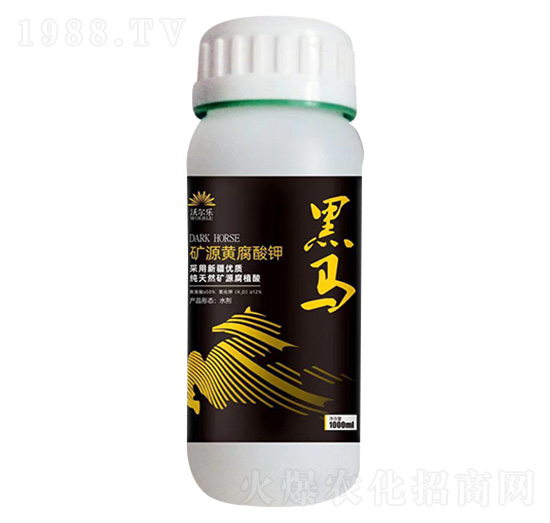 �VԴ�S�����-���R-�֠���