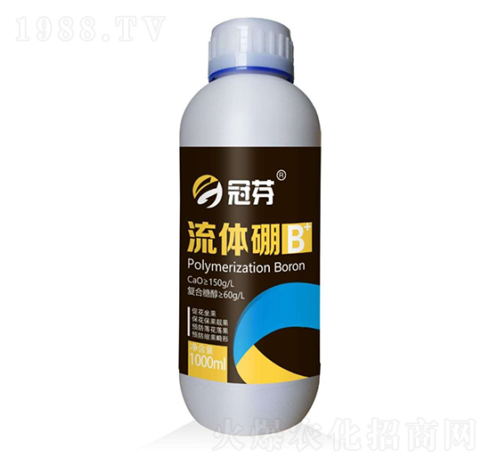 ���w�� �ڷ�