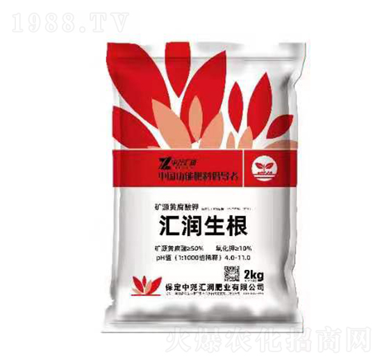 �VԴ�S����� �R������ �Ј�R��