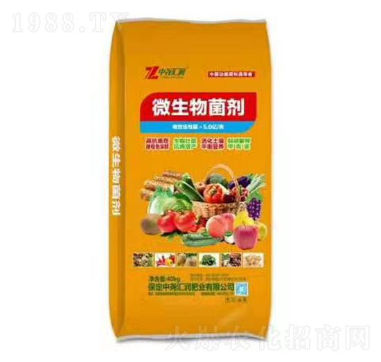 ΢������� �Ј�R��(r��n)