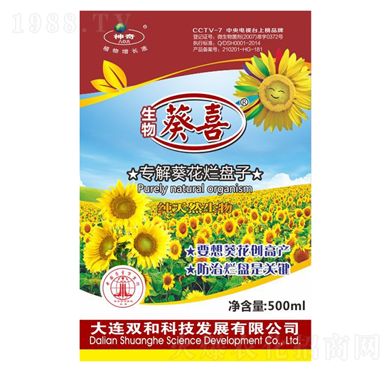 ����������P�� �����ϲ �p�ͿƼ�