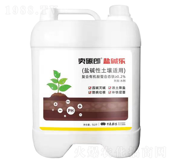 �}�A�������m���}�A�� �u̼�� ǧ��ֲ��