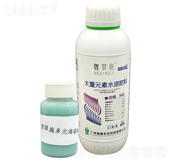 �̴�ʩ����Ԫ������ ����r(n��ng)�I(y��)