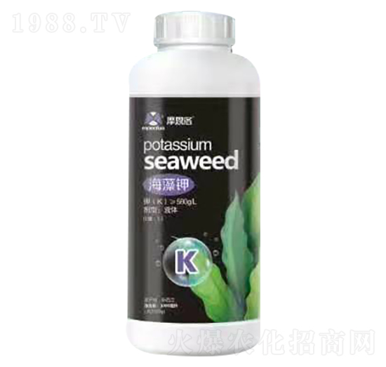 ����� Ħ����