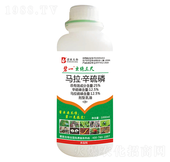 25%�R����������-�x�^����-�̄�����