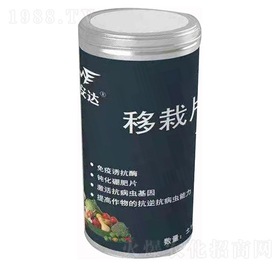 ����Ƭ �~���_(d��)