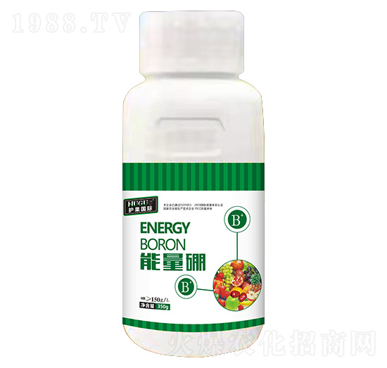 ������-�o��