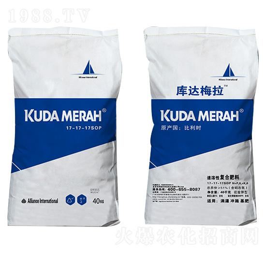 �M(j��n)�������ԏ�(f��)�Ϸ���17-17-17SOP ��(k��)�_(d��)÷��