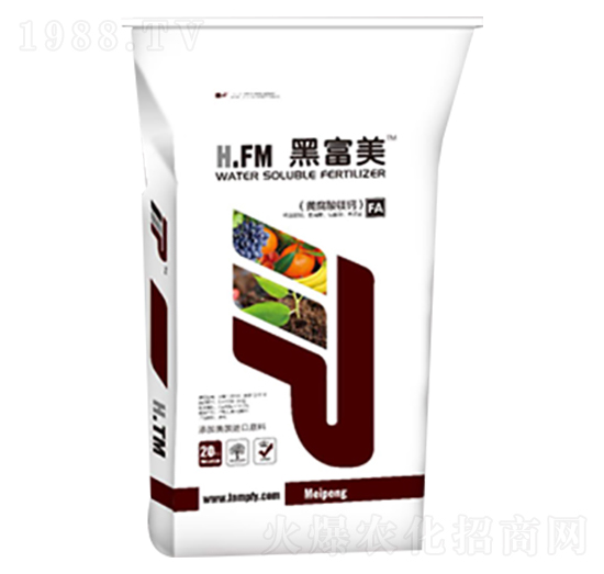 �S�����V�}-�ڸ���-����ʘI(y��)