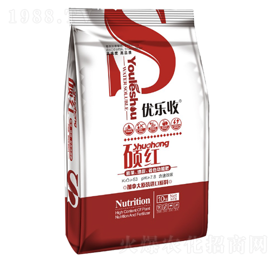 �T�t ��(y��u)��(l��)�� ��󷼌�