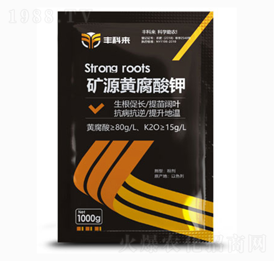 1000g�VԴ�S�����-�S�Ɓ�-����������