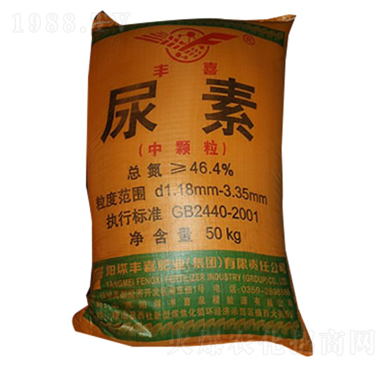 ����-�Sϲ-�����r�Y