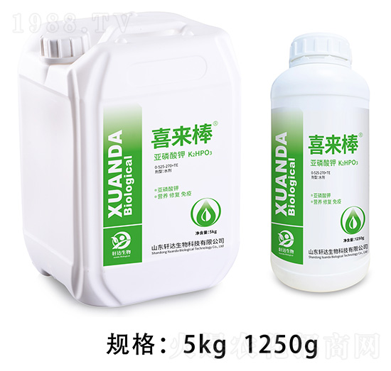 ������� ϲ���� ܎�_����