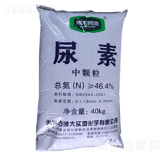 ���أ����w����-��(li��n)���r(n��ng)�Y