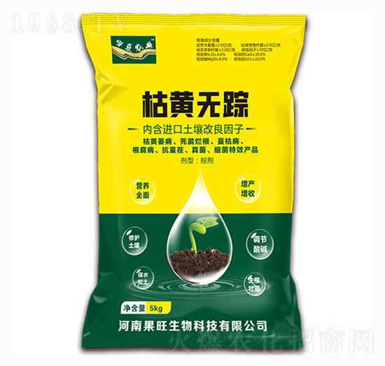 ���S�oۙ-��������