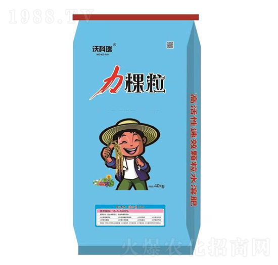 ���w�� �u(y��)�_(d��)�ʘI(y��)